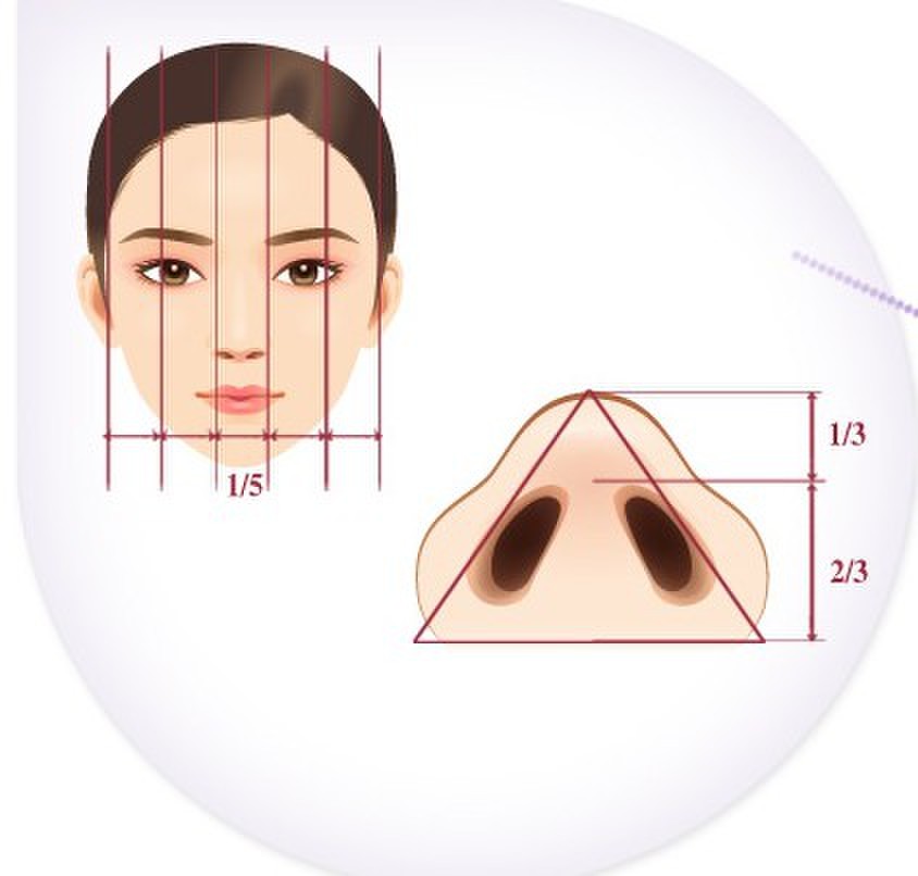 生态美鼻~鼻整形       鼻梁与额头夹角为:115~135°;鼻中柱与人中